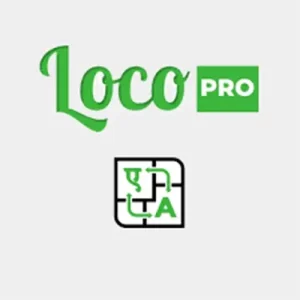 Loco Translate Pro